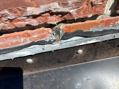 Roof Flashing Restoration Services