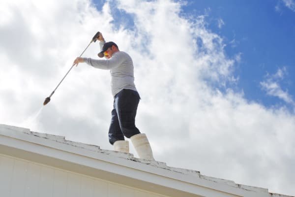 Professional Roof Cleaning Services Professional Roof Cleaning Services
